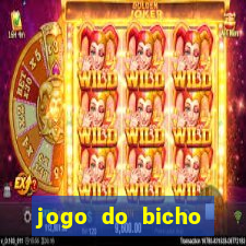 jogo do bicho banca ouro verde